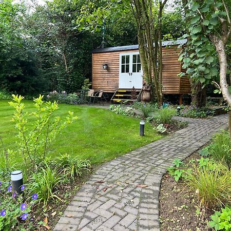 Tranquil Spot Shepherds Hut Cinderford Ngoại thất bức ảnh