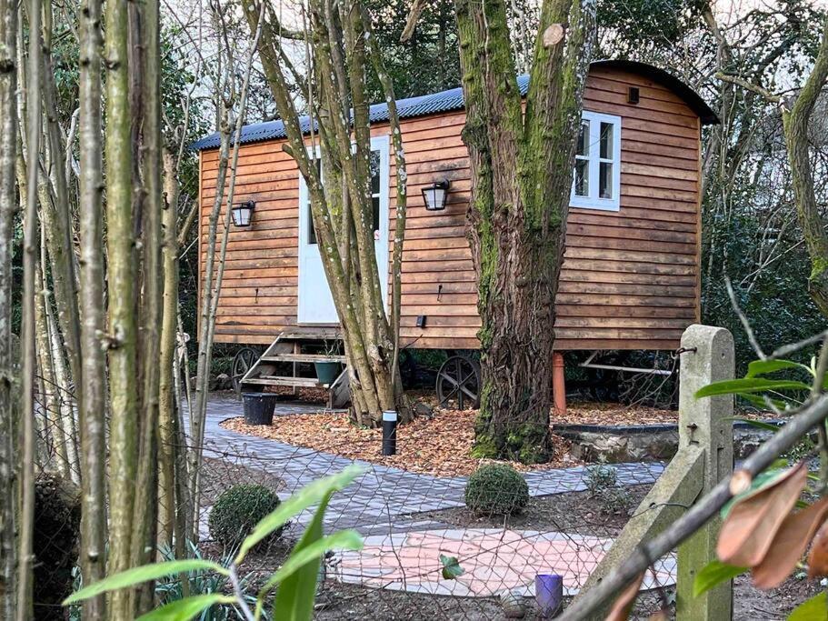 Tranquil Spot Shepherds Hut Cinderford Ngoại thất bức ảnh